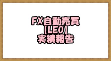 FX自動売買【LEO】実績報告2021年6月～11月⇒終了